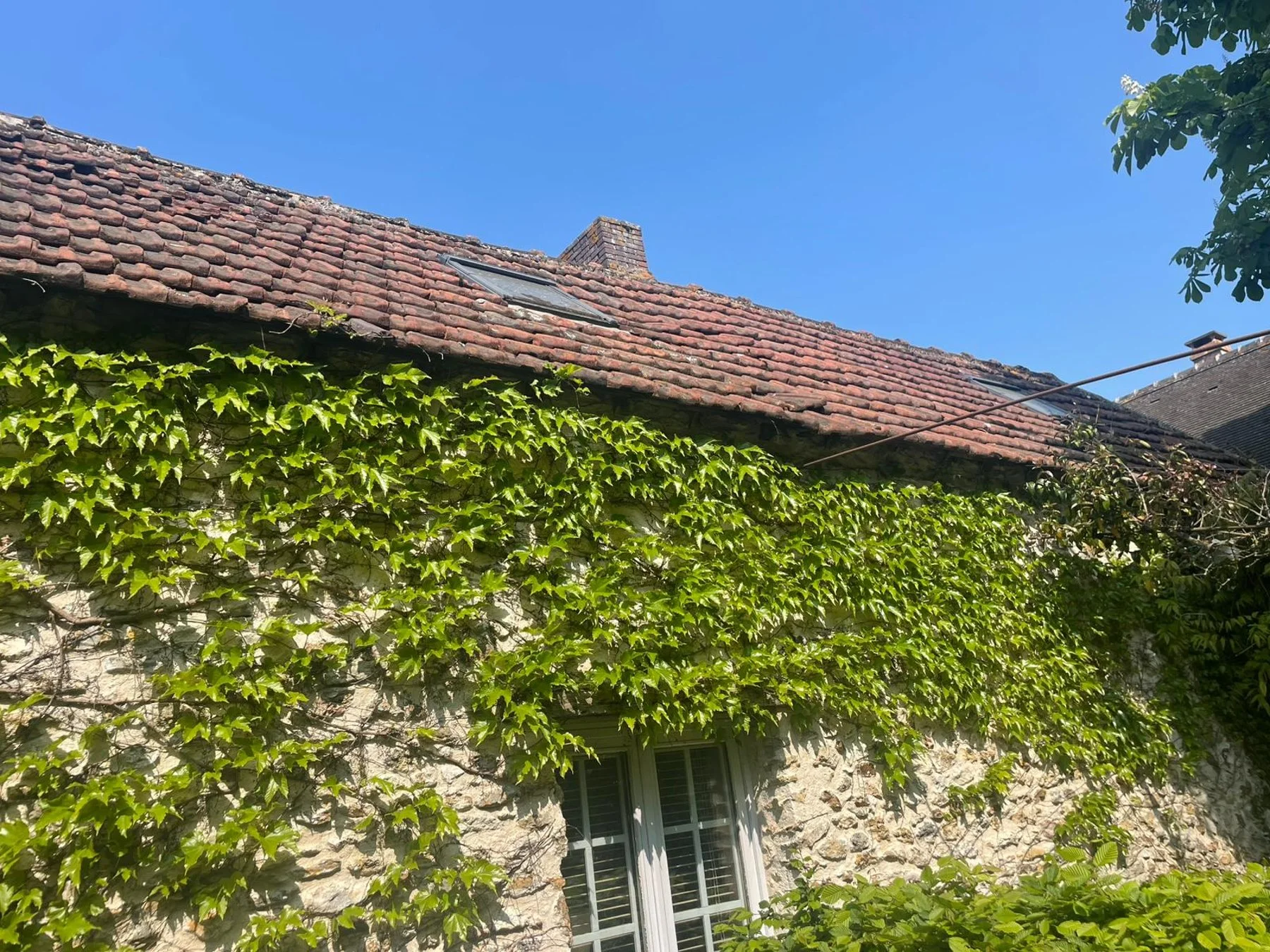 Entretien & démoussage — photo de chantier Lecoq
